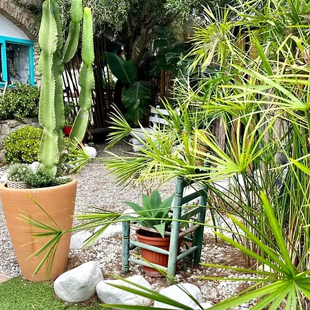 Zahora Beach Room 3*